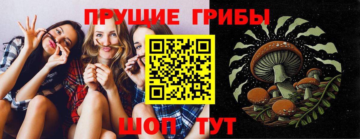 Полысаево  Галлюциногенные грибы прущие грибы  Вход с VPN 