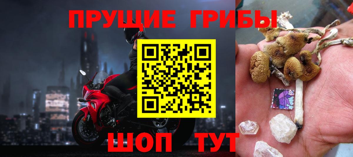 Галлюциногенные грибы Psilocybe Полысаево